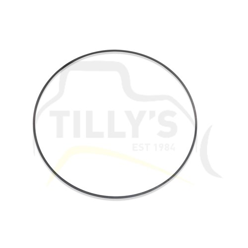 SEAL - RING TRANS   015 O/S