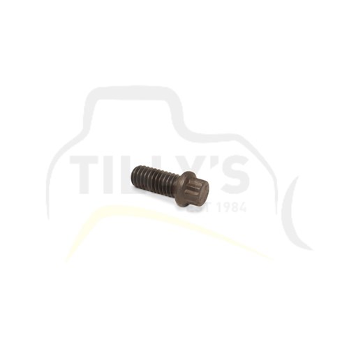 BOLT - 12 PT HEAD UNC 5/16 X