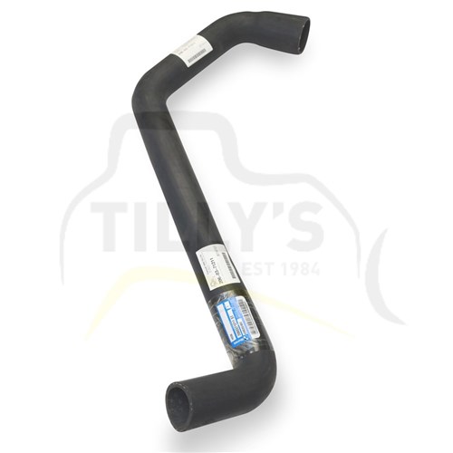 HOSE - BOTTOM RADIATOR