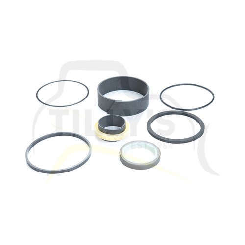 KIT - SEAL CYL HYD D4H