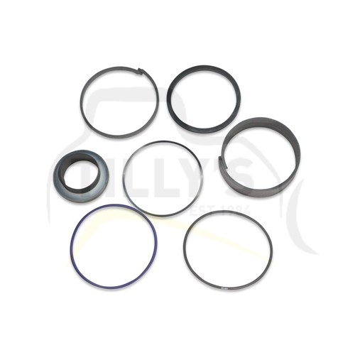 KIT - SEAL CYL HYD 428