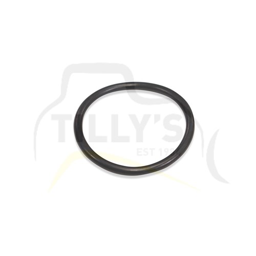 SEAL - O RING