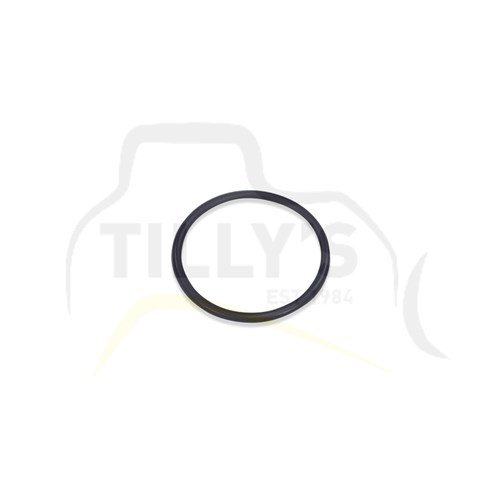 SEAL - O RING