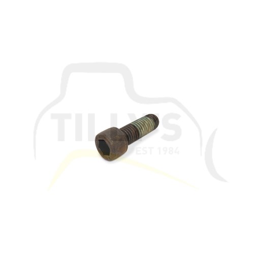 BOLT - HEX SOCKET HEAD M10
