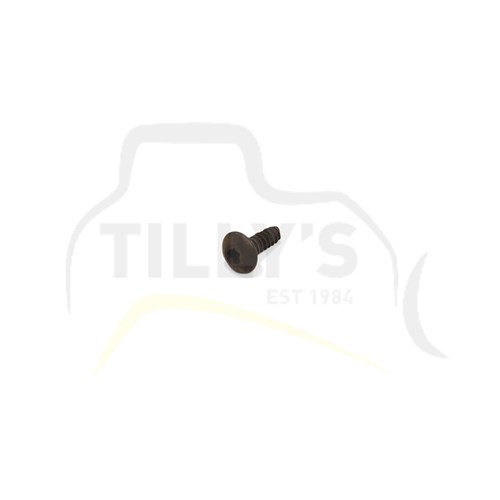 SCREW - TRUSS HEAD