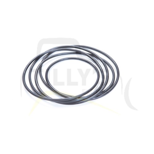 SEAL - O RING