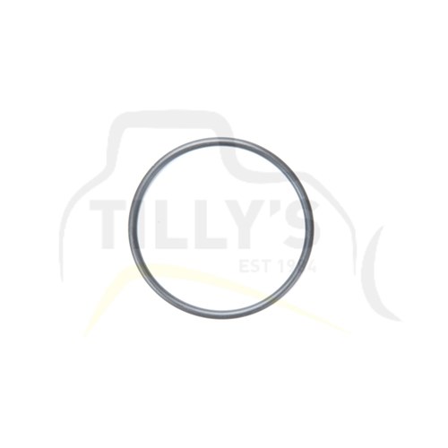 SEAL - O RING