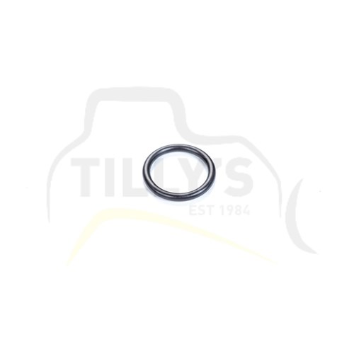 SEAL - O RING