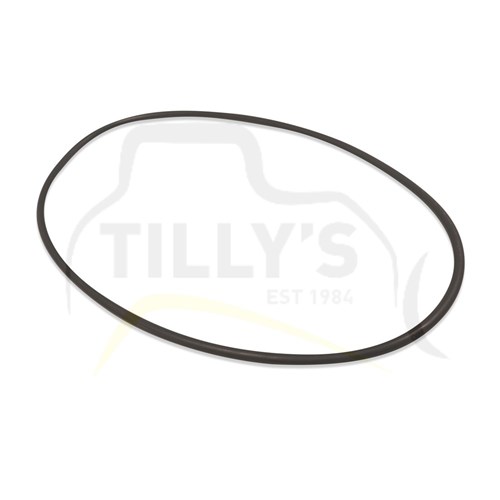 SEAL - O RING