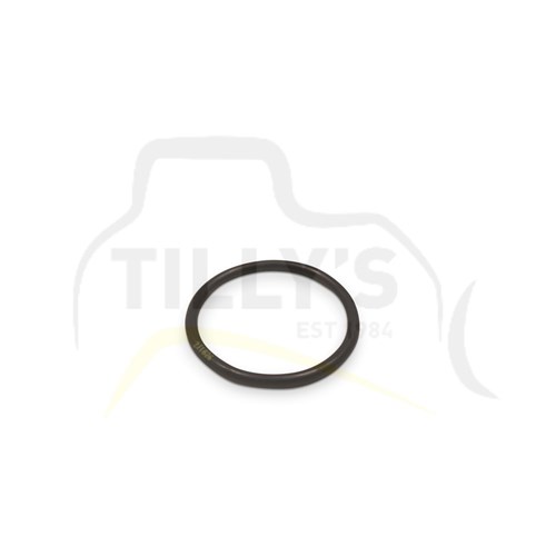 SEAL - O RING