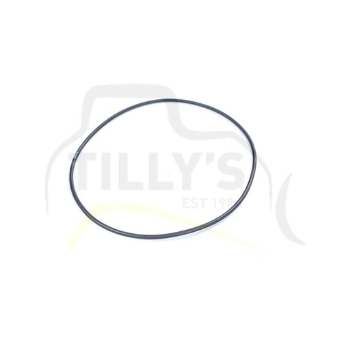 SEAL - O RING