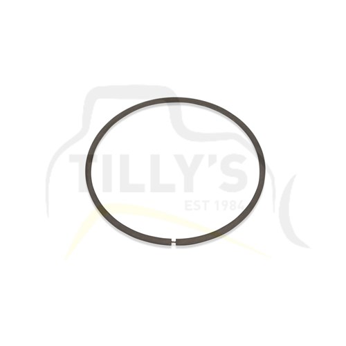 SEAL - RING STD
