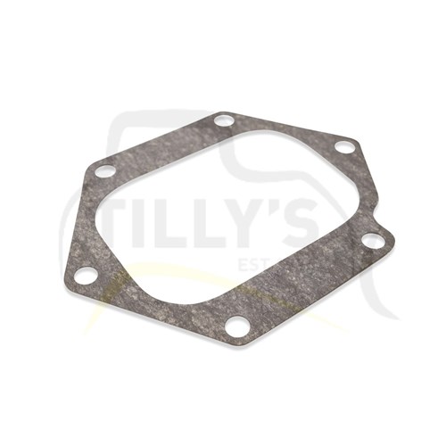 GASKET - MANIFOLD