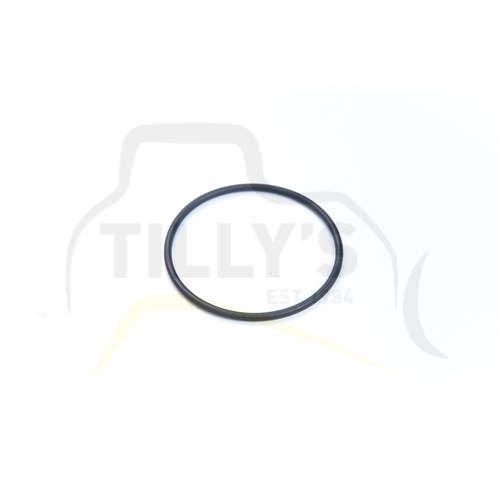 SEAL - O RING