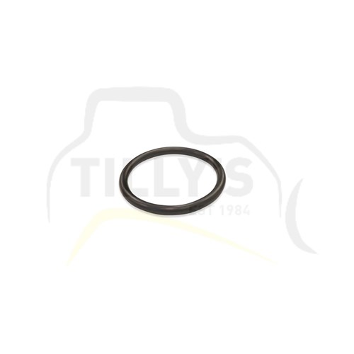 SEAL - O RING