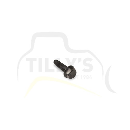 BOLT & WASHER - 3/8 X 1.1/2UNC