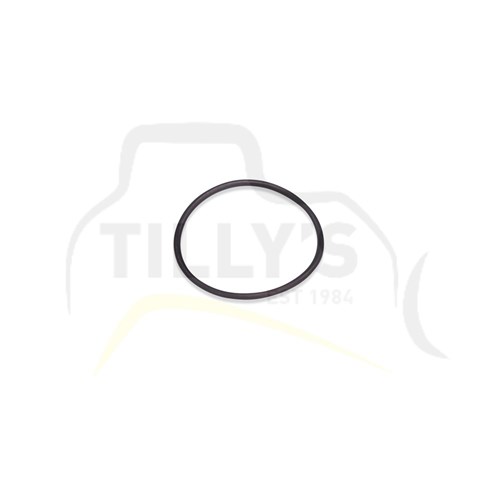 SEAL - O RING