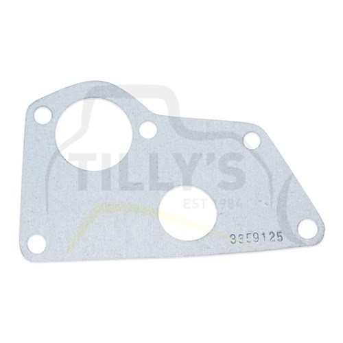 GASKET - W/PUMP 3046 ENG