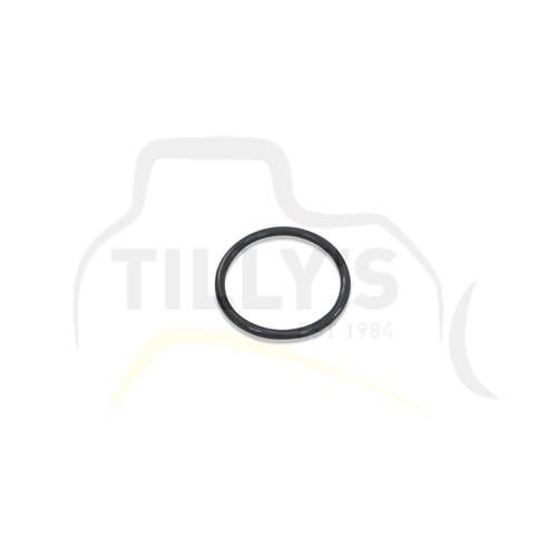 SEAL - O RING