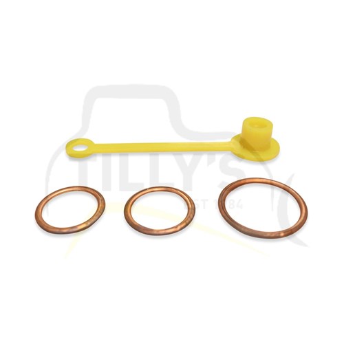 KIT - GASKET ENGINE D7G 65V