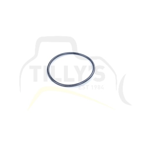 SEAL - O RING