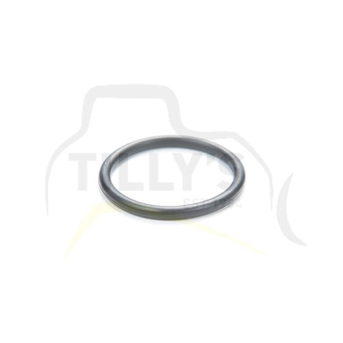 SEAL - O RING