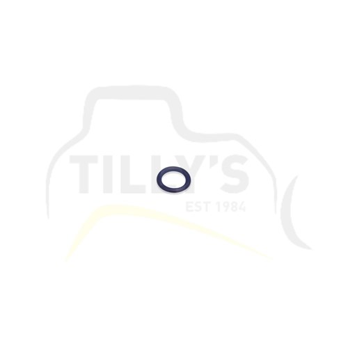 SEAL - O RING