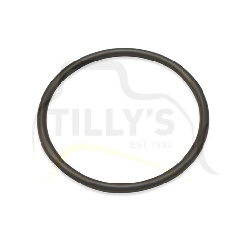 SEAL - O RING