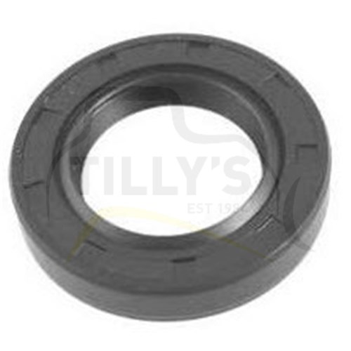 SEAL - LIP TYPE