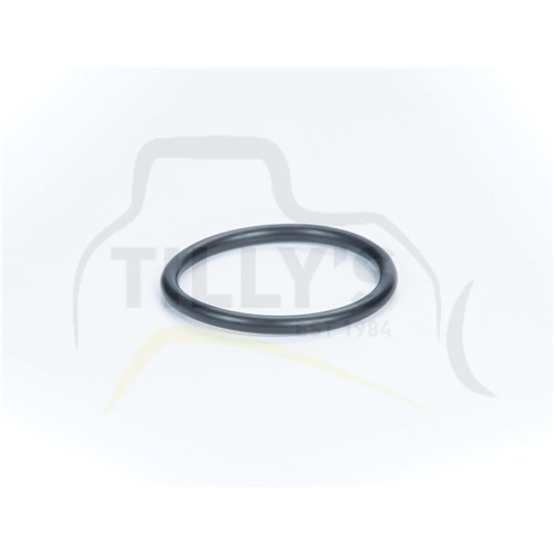 SEAL - O RING