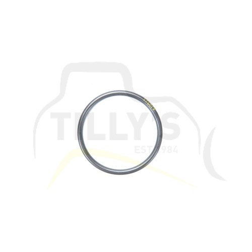 SEAL - O RING