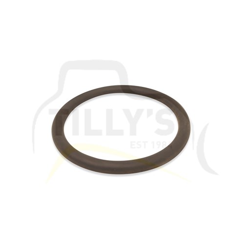 SEAL - O RING