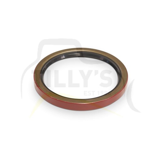 SEAL - LIP TYPE