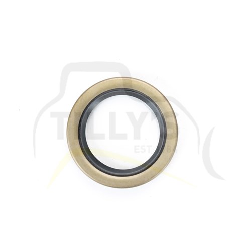 SEAL - LIP TYPE 1.379 OD X .31