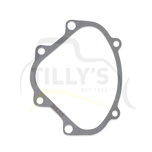 GASKET - SIDE COVER  922