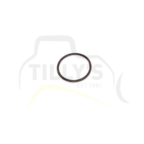 SEAL - O RING