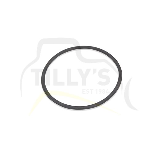 RING -  SEAL GRP DUO CONE