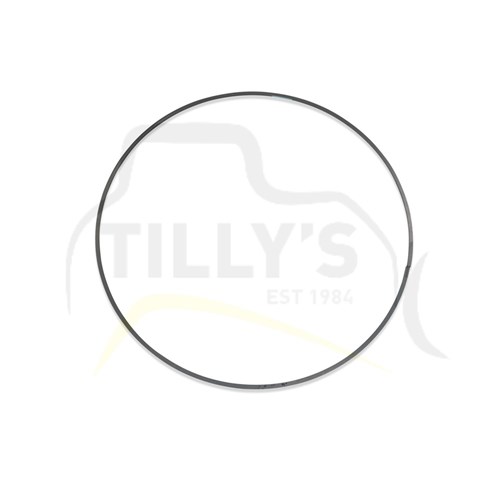 SEAL - RING METAL 015 D9H