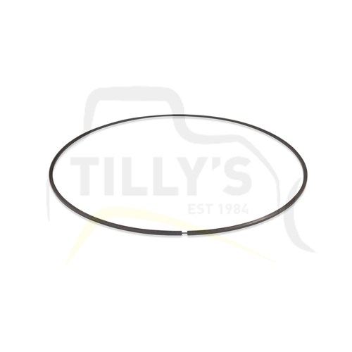 SEAL - RING  PLANETARY D6D