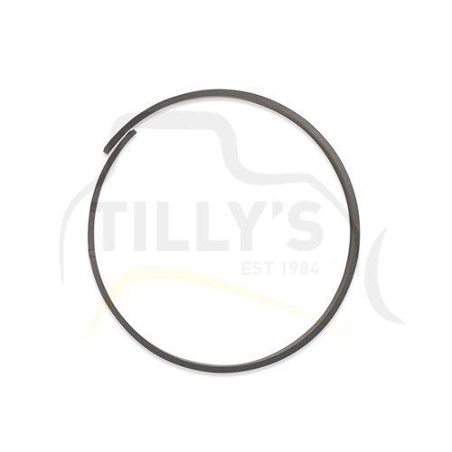 RING - WEAR EX300 STICK CYL