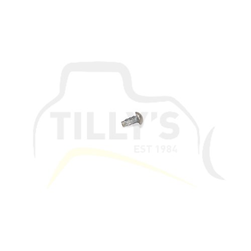 SCREW - 2.89 X 6.35MM ZINC