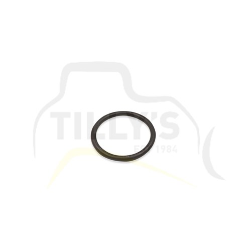 SEAL - O RING