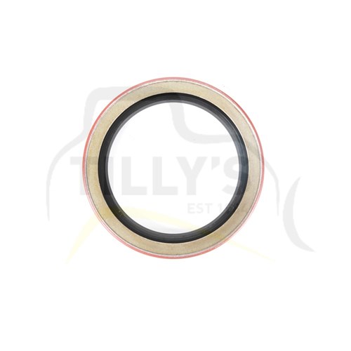 SEAL - LIP TYPE
