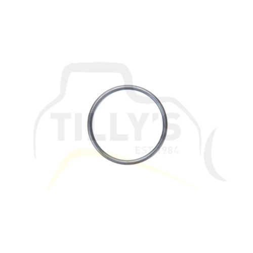 SEAL - O RING