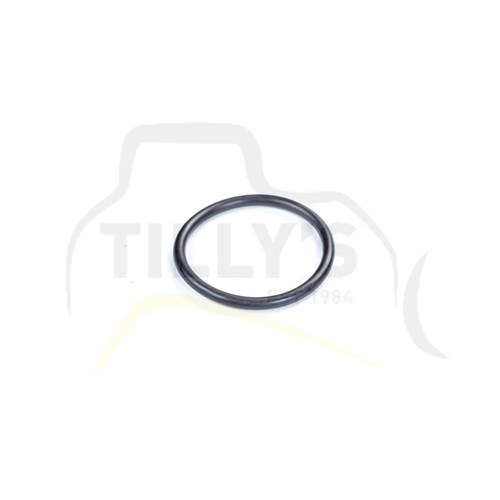 SEAL - O RING
