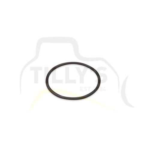 SEAL - O RING FILTER LUB