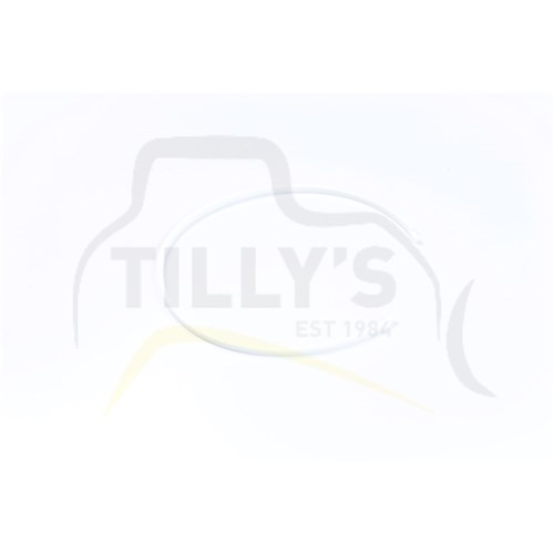 RING SEAL - CLUTCH STEER D6D