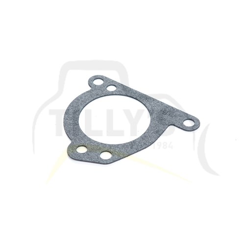 GASKET - TANK EXPANSION