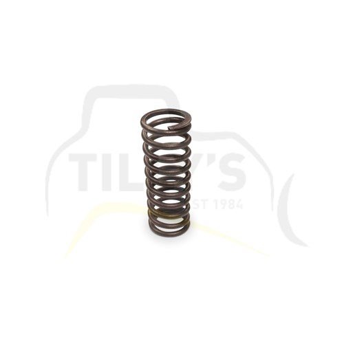 SPRING - VALVE 3406B