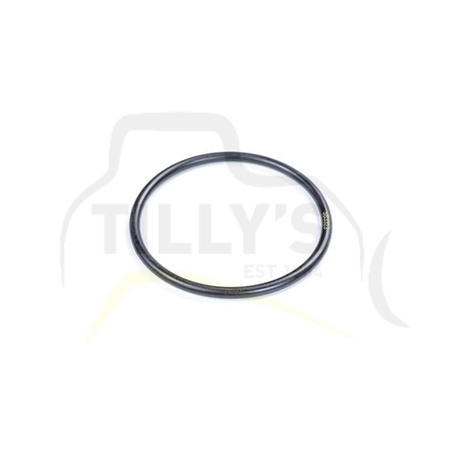 SEAL - O RING
